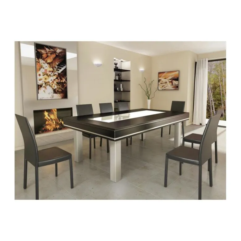 Billard Table : Harmony C Inox 100 % personnalisable