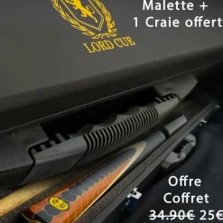 Coffret Dragon : Une Queue de Billard qui allie Art et Performance.