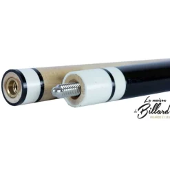 Coffret queue de billard mixte bleue et noir