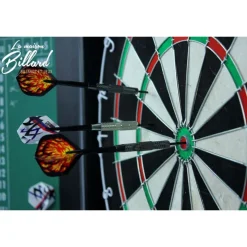 Jeu de Fléchette traditionnel avec Armoire