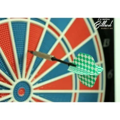 La Cible de fléchette Electronique parfaite pour jouer entre amis ou en famille.