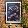 Poster Origine Billard Estephe