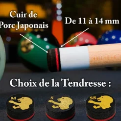 Procédé 14 mm 6 couches Pro Lord Cue