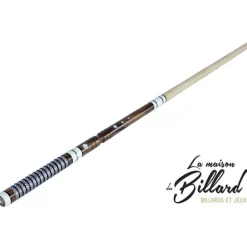 Queue de billard modulable