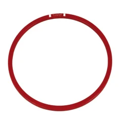 Tualoop : un ancien jeu de frisbee qui refait surface.